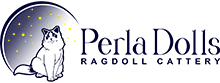 Perla Dolls Ragdoll Cattery